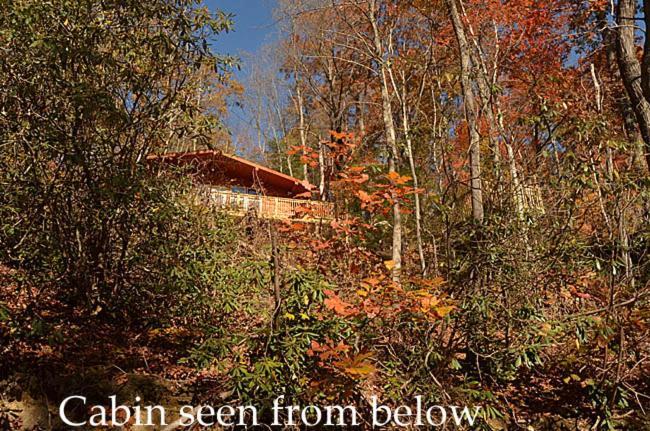 Вілла #820 Honeymoon Hideaway Гатлінбург Екстер'єр фото